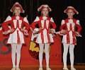 Alverdissen Karneval 2020  (45)